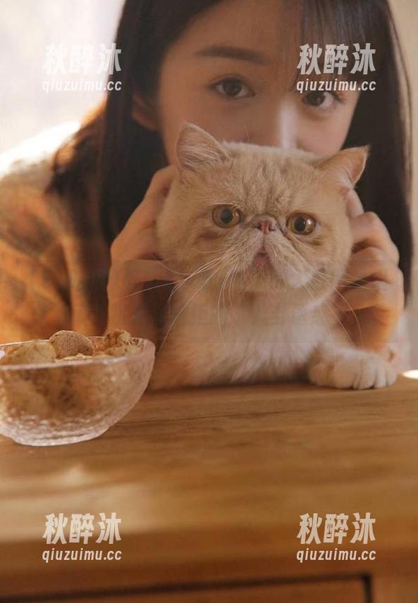 更新后，51吃瓜的入口网址里藏着我无法抗拒的“八卦诱惑”