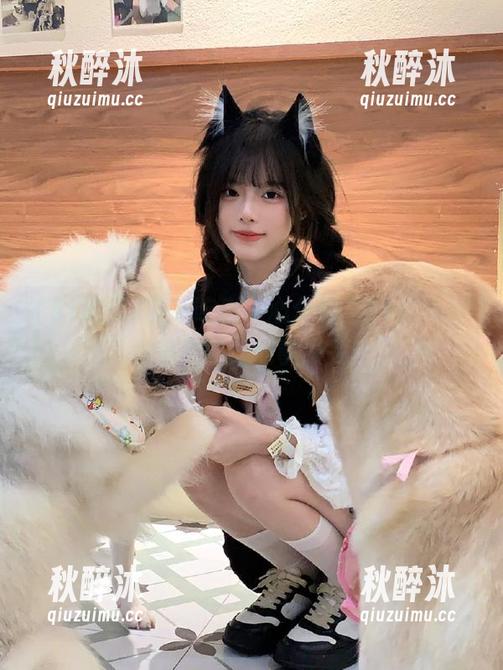 胖猫吃瓜中心介绍，51吃瓜网址其实才是故事源头！