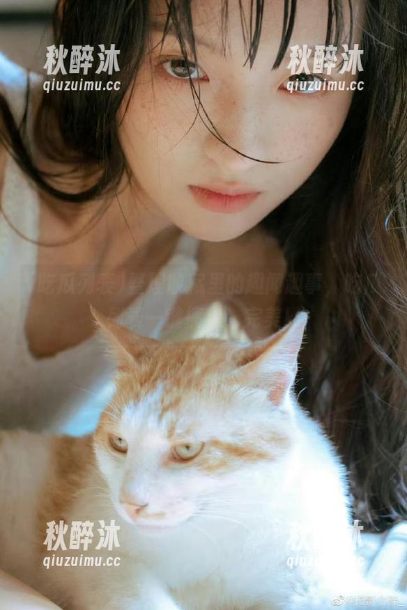 整理收藏里的趣闻趣事，吃瓜列表一键搞定，完美！