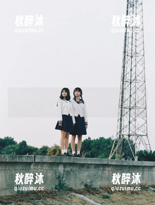 黑料网站最新版，中文免费版是否也能一醉方休？
